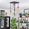 Koyoto Plafondlamp, Kogellampje Amber, Duidelijk, Rookkleurig, 5-lichts