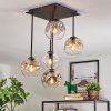 Ripoll Plafondlamp, Kogellampje Amber, Duidelijk, Rookkleurig, 5-lichts