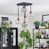 Koyoto Plafondlamp, Kogellampje Amber, Duidelijk, Rookkleurig, 5-lichts