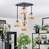 Koyoto Plafondlamp, Kogellampje Amber, 5-lichts