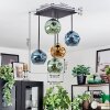 Ripoll Plafondlamp, Kogellampje Blauw, Goud, Groen, 5-lichts