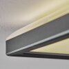 Simonstorp Plafondlamp, Paneel LED Zwart, Wit, 1-licht