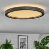 Xarel Plafondlamp, Paneel LED Zwart, 1-licht