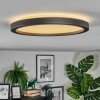 Xarel Plafondlamp, Paneel LED Zwart, 1-licht