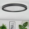 Xarel Plafondlamp, Paneel LED Zwart, 1-licht