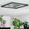 Ilyan Plafondlamp, Paneel LED Zwart, 1-licht