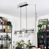 Koyoto Hanglamp, Kogellampje, Hanglamp Duidelijk, Rookkleurig, 4-lichts