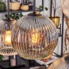 Ripoll Hanglamp, Kogellampje, Hanglamp Amber, Duidelijk, Rookkleurig, 6-lichts