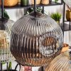 Ripoll Hanglamp, Kogellampje, Hanglamp Amber, Duidelijk, Rookkleurig, 6-lichts