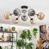 Ripoll Plafondlamp, Kogellampje Amber, Duidelijk, Rookkleurig, 10-lichts