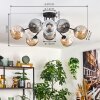Ripoll Plafondlamp, Kogellampje Amber, Duidelijk, Rookkleurig, 10-lichts