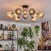 Ripoll Plafondlamp, Kogellampje Amber, Duidelijk, Rookkleurig, 10-lichts