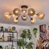 Ripoll Plafondlamp, Kogellampje Amber, Duidelijk, Rookkleurig, 10-lichts