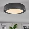 Isela Plafondlamp, Paneel LED Zwart, 1-licht