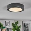 Isela Plafondlamp, Paneel LED Zwart, 1-licht