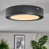 Isela Plafondlamp, Paneel LED Zwart, 1-licht