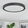 Isela Plafondlamp, Paneel LED Zwart, 1-licht