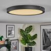 Isela Plafondlamp, Paneel LED Zwart, 1-licht