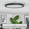 Isela Plafondlamp, Paneel LED Zwart, 1-licht