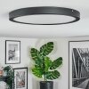 Isela Plafondlamp, Paneel LED Zwart, 1-licht