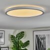 Xarel Plafondlamp, Paneel LED Wit, 1-licht