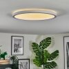 Xarel Plafondlamp, Paneel LED Wit, 1-licht