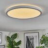 Xarel Plafondlamp, Paneel LED Wit, 1-licht