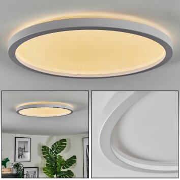 Xarel Plafondlamp, Paneel LED Wit, 1-licht