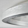 Xarel Plafondlamp, Paneel LED Zilver, 1-licht