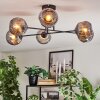 Ripoll Plafondlamp, Kogellampje Rookkleurig, 6-lichts