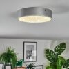 Elmar Plafondlamp, Paneel LED Zilver, 1-licht