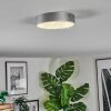 Elmar Plafondlamp, Paneel LED Zilver, 1-licht