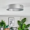 Elmar Plafondlamp, Paneel LED Zilver, 1-licht