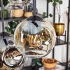 Ripoll Hanglamp, Kogellampje, Hanglamp Amber, Duidelijk, Rookkleurig, 6-lichts