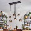 Ripoll Hanglamp, Kogellampje, Hanglamp Duidelijk, Rookkleurig, 6-lichts