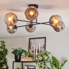 Ripoll Plafondlamp, Kogellampje Chroom, Duidelijk, Rookkleurig, 6-lichts