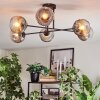 Ripoll Plafondlamp, Kogellampje Duidelijk, Rookkleurig, 6-lichts