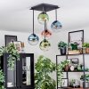 Gastor Plafondlamp, Kogellampje Blauw, Groen, Duidelijk, Koperkleurig, 5-lichts
