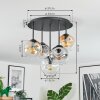 Ripoll Plafondlamp, Kogellampje Amber, Duidelijk, Rookkleurig, 5-lichts