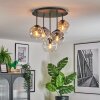 Ripoll Plafondlamp, Kogellampje Amber, Duidelijk, Rookkleurig, 5-lichts