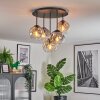 Ripoll Plafondlamp, Kogellampje Amber, Duidelijk, Rookkleurig, 5-lichts