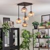Koyoto Plafondlamp, Kogellampje Amber, Duidelijk, Rookkleurig, 5-lichts