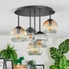 Ripoll Plafondlamp, Kogellampje Amber, Duidelijk, Rookkleurig, 5-lichts