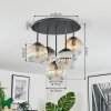 Ripoll Plafondlamp, Kogellampje Amber, Duidelijk, Rookkleurig, 5-lichts