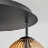 Ripoll Plafondlamp, Kogellampje Amber, Duidelijk, Rookkleurig, 5-lichts