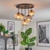 Ripoll Plafondlamp, Kogellampje Amber, Duidelijk, Rookkleurig, 5-lichts