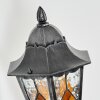 Lignac Wandlamp voor buiten, Wandlamp Zwart, Zilver, 1-licht