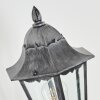 Lignac Wandlamp voor buiten, Wandlamp Zwart, Zilver, 1-licht, Bewegingsmelder