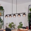 Koyoto Hanglamp, Kogellampje, Hanglamp Duidelijk, Rookkleurig, 5-lichts