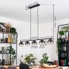 Koyoto Hanglamp, Kogellampje, Hanglamp Duidelijk, Rookkleurig, 5-lichts